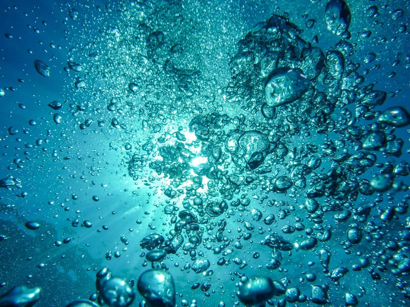 Ocean Diving
